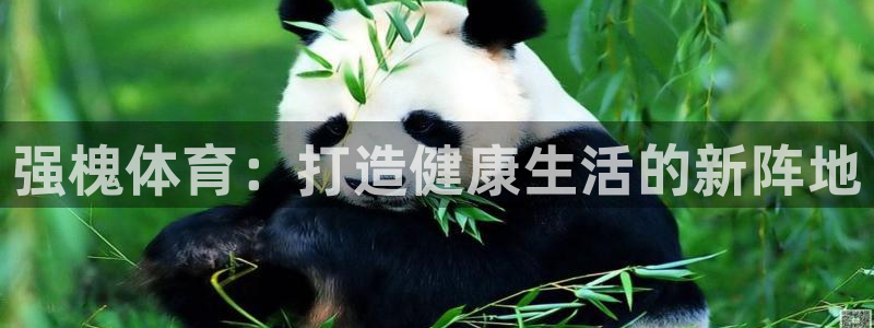 意昂扬是什么意思